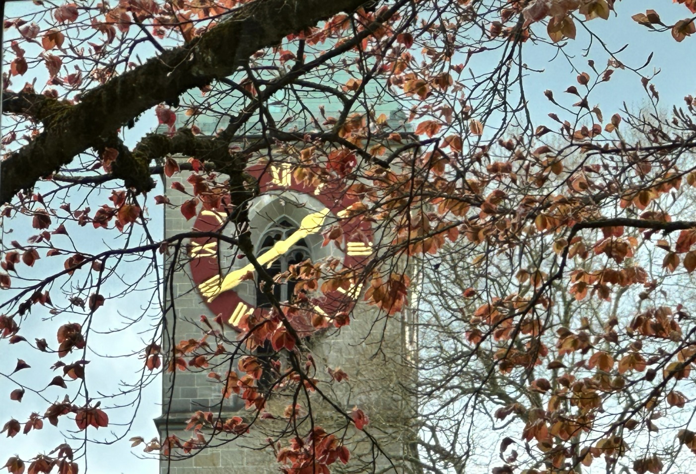Stadtkirche Burgdorf