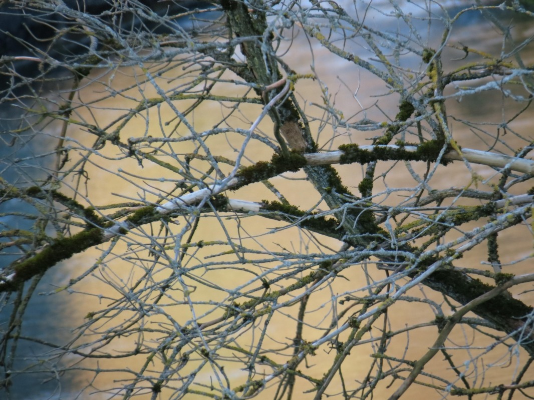 Schönheit der Natur