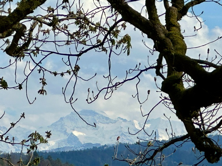 Blick aus Burgdorf